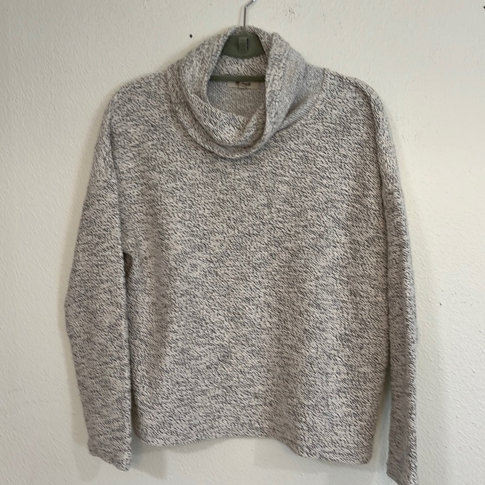 Madewell turtle sweater